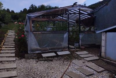 Casă cu 3 camere în Coșteiu