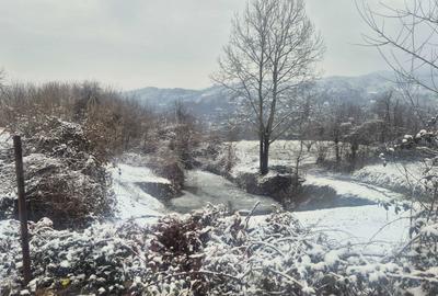 Teren de 9000 mp, în Păușești-Măglași - 2