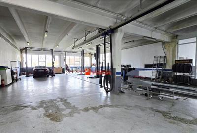 Showroom cu hala si spatiu locativ Marghita, Bihor - 8