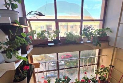 Apartament doua camere vis a vis de Vila Flora Medias - 1