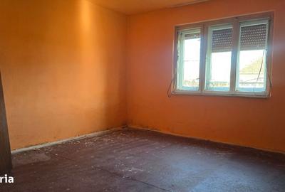 Casă cu 2 camere cu Teren 1585 Mp în Brănișca - 8