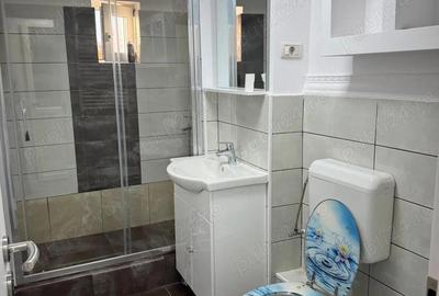 De inchiriat apartament 2 camere calea lipovei - 5