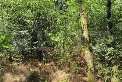 Teren 3000 mp - 1200 mp intravilan, zona Cuparu - 2