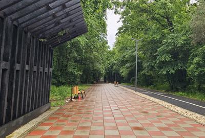 Teren de 22500 mp, în Păulești - 2