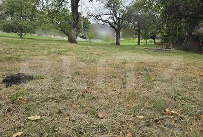 Teren de 825 mp, în Făget