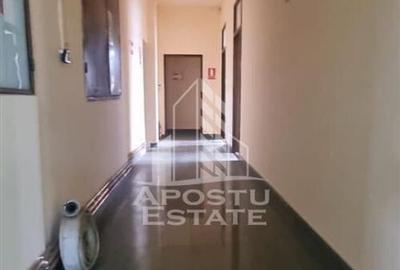 Spatiu birouri sau comercial in localitatea Pancota - 11