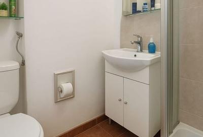 Apartament cu 3 camere decomandat, mobilat în Dristor - 10