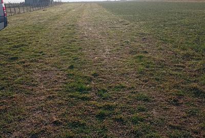 Spațiu comercial, în Cristian - 2