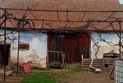 Casă cu 3 camere cu Teren 2500 Mp în Pianu - 2