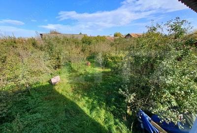 Teren Intravilan de 19000 mp, Ocna Mures - 4