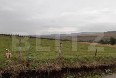 Teren Intravilan - 5000 mp, la 3 km de ora?ul Falticeni - 4