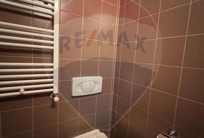 Apartament cu 2 camere, mobilat în Văcăresti - 6