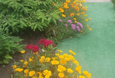 Casă cu 3 camere în Gorneni - 2