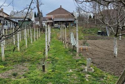 Casă cu 5 camere cu Teren 1579 Mp în Central - 7