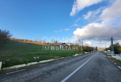 Teren 11.939 mp Balane?ti ideal reziden?ial/comercia - 2