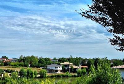 Vila cu arhitectura unica în Corbeanca - 11