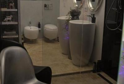 Nivel in vila, in caracter unic, dotari de colectie, terase, parcare securizata, - 28