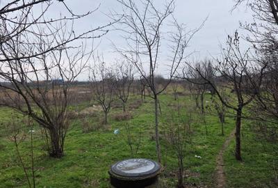 Casă cu 2 camere în Proaspeți - 3