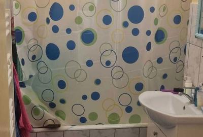 Apartament cu 2 camere semidecomandat în Broșteni - 4