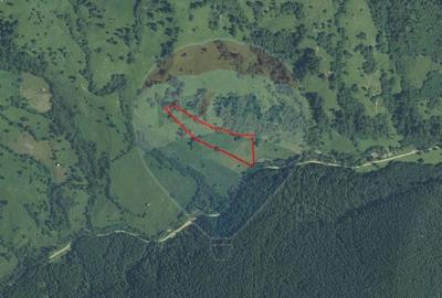 Teren extravilan de 12127 mp, în Sud - 14