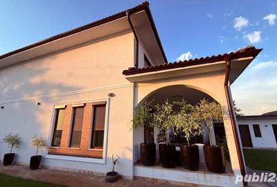 Casă cu 5 camere cu Teren 798 Mp în Diniaș - 3