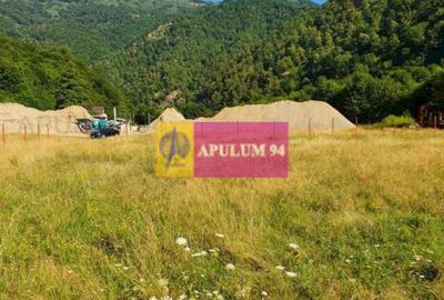 Teren Construcții intravilan de 744 mp, în Periferie - 13