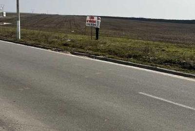 Teren de 7174 mp, în Pielești - 3