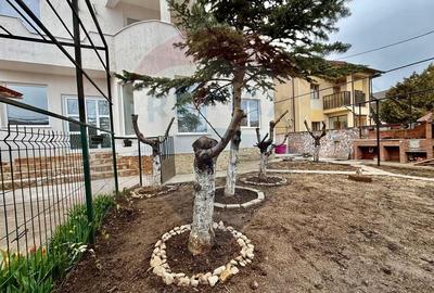 Casă individuală cu 6 camere cu Teren 300 Mp în Sud - 21