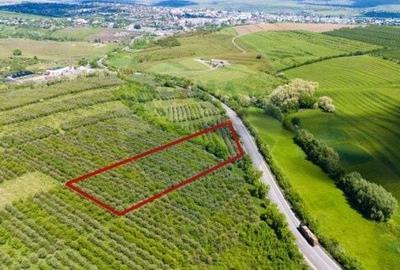 Spațiu comercial, în Spătărești - 3