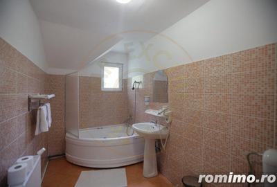 Spațiu comercial, de 750 mp, în Baia de Fier - 7