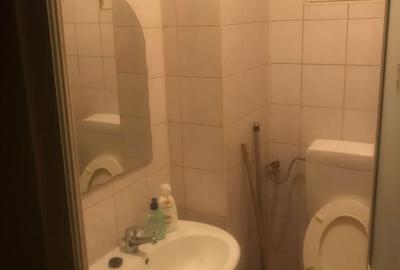 Apartament cu 3 camere decomandat în Valea Ialomiței - 1