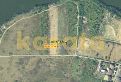 Teren Construcții intravilan de 618 mp, în Mogoșoaia - 3