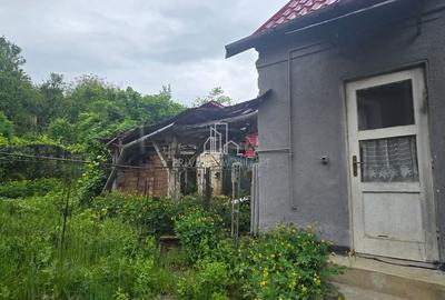 Casă cu 3 camere cu Teren 393 Mp în Vânători - 3