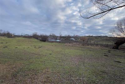 Teren Construcții intravilan de 4931 mp, în Frecăței - 9