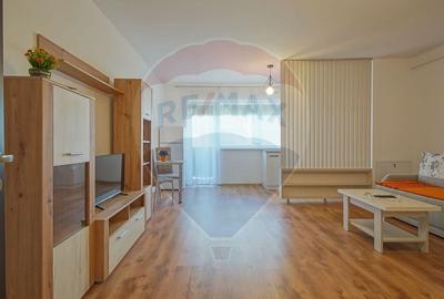 Garsoniera de inchiriat, Subcetate-Sanpetru - 1