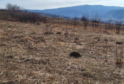 Teren de 4300 mp, în Central - 2