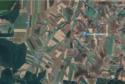Teren de 21440 mp, în Negureni - 4