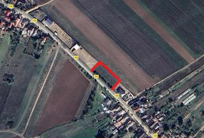 Teren de 1400 mp, în Almăj - 1