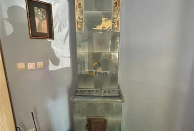 Casă cu 6 camere cu Teren 5000 Mp în Central - 12