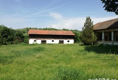 Casa cu teren 11414 mp , Vladimir-Andreesti , Jud.Gorj Pret 60000 - 6