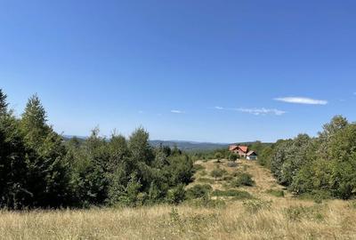 Teren de 45809 mp, în Mădrigești - 16