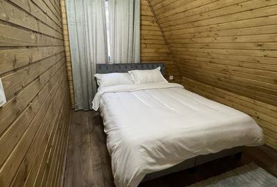 Apartament cu 4 camere în Râmeț - 6