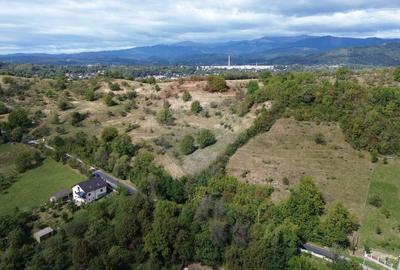 Teren de vanzare in Campulung-Muscel -  33598 mp - 7