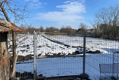 Casă cu 3 camere în Balinț - 5