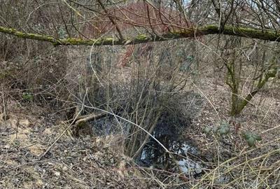 Teren agricol extravilan de 2900 mp, în Independenței - 8