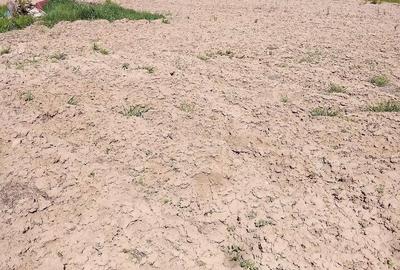 Casă în Mironeasa - 1