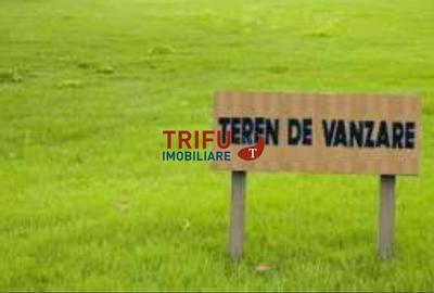 Teren de Vanzard?n Alba Iulia - Oportunitate Unica - 1