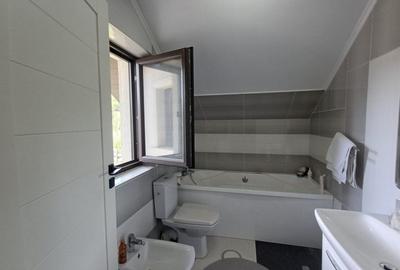 VILA CU 5 CAMERE, 150 MP UTILI, BECI, GARAJ, 717 MP TEREN, VISAN-BUCIUM - 16