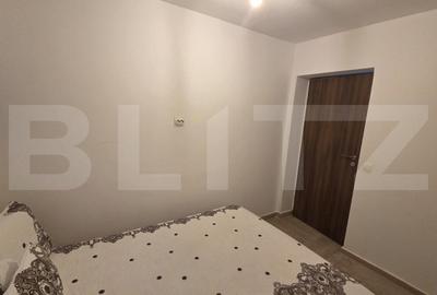 Apartament cu 3 camere decomandat, mobilat în Calea Severinului - 11