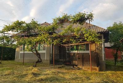 Casă cu 3 camere cu Teren 3867 Mp în Central - 4